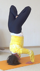 Sustaga Kapali Asana AL 2529.png