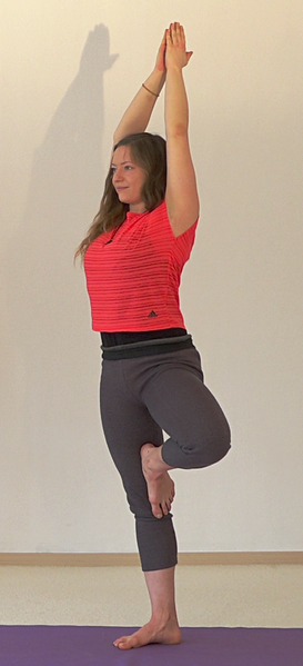 Datei:Nachiketasana AL 2345 Variation 2.png