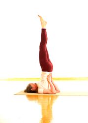 Sarvangasana, Schulterstand, die Königin der Yoga Posen