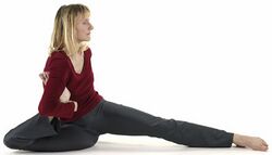 (7) Yoga Dandasana...