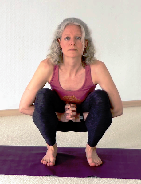 Datei:2886-Gorakhjali Asana.png
