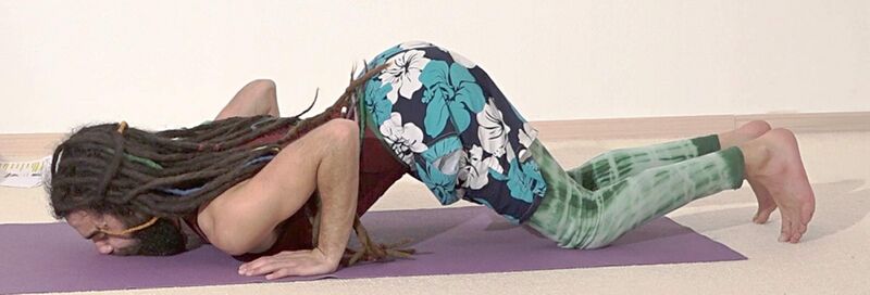 Datei:181-Ashtangasana2-Asanalexikon.jpg