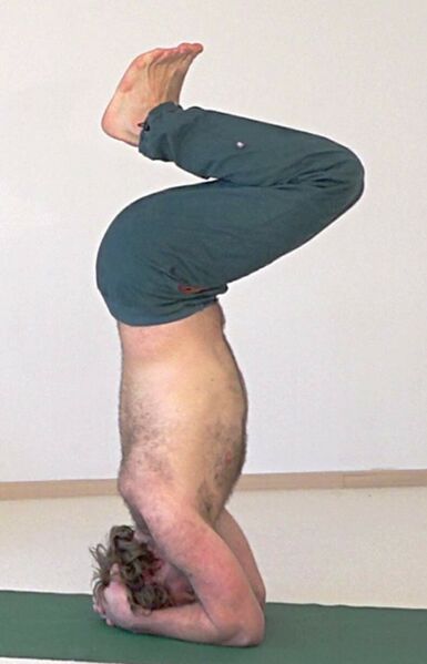 Datei:2799-Vajra-Pada-Shirshasana06-07-15h28m25s741.jpg