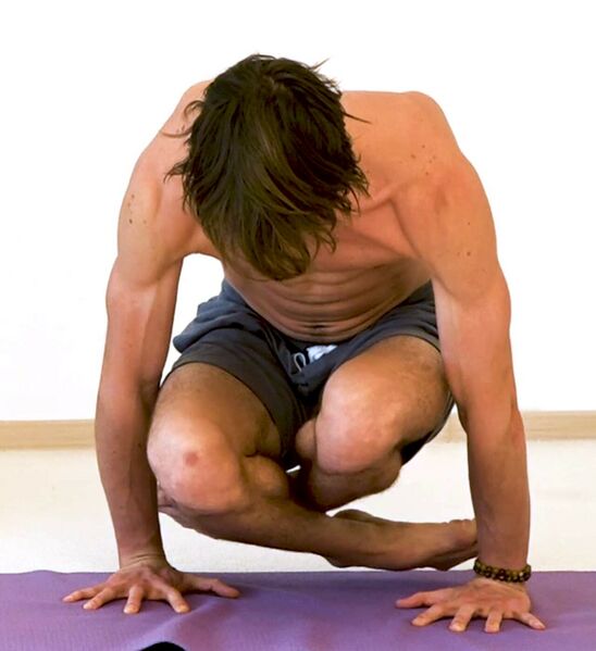 Datei:Schwingende Haltung Lolasana Schwingende Stellung Yoga Pose Pendel auf zwei Haenden.jpg