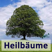 Heilbaum.jpg