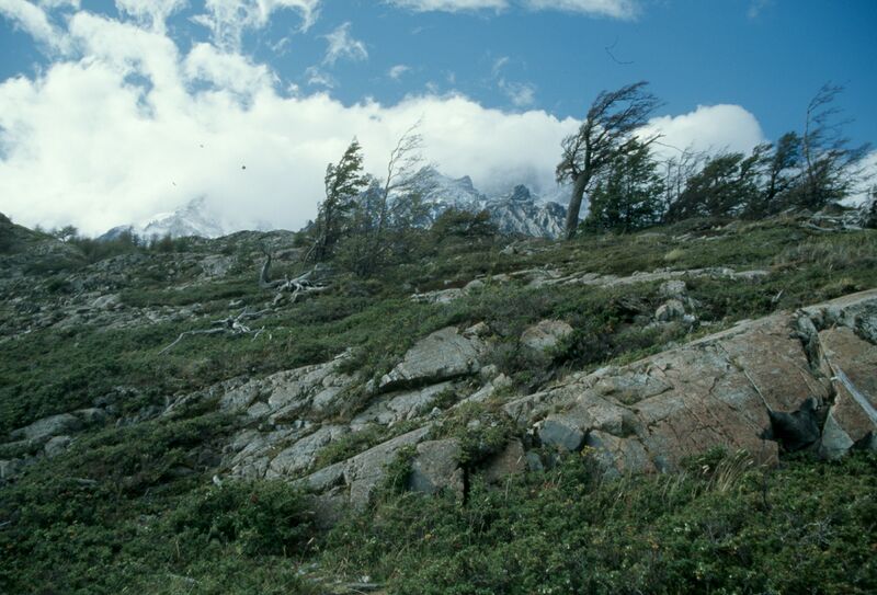 Datei:Chile 07 18.jpg