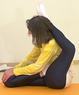 Shoshasana AL 2496 .png