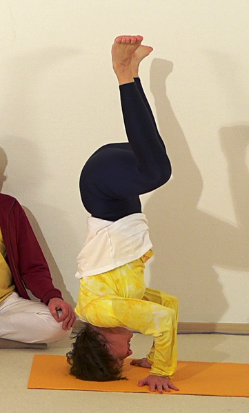 Datei:Mandukasana in Shirshasana AL 2702.png