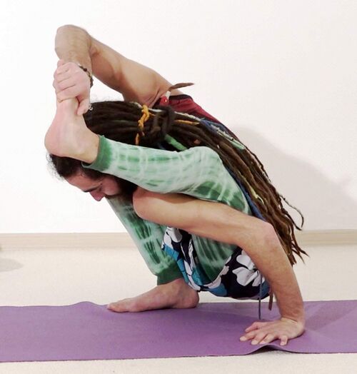 Surya Yantra Eka Pada Malasana Yogawiki