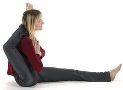 (8) Fortgeschrittenere geben den Knöchel hinter den Nacken, halten den Fuß mit dem Hinterkopf fest, geben die Handflächen vor der Brust zusammen und entspannen... Du kannst in dieser Stellung bleiben, oder weiter fortfahren.