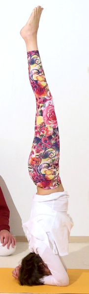 Datei:Kopfstand zur Pitta Beruhigung.png