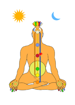 Chakra, Pranayama, Meditation, Kundalini,.png