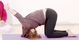 Shashasana AL 2468 Variation 3.png