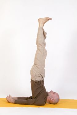 Yoga Schulterstand Sarvangasana 3.jpg