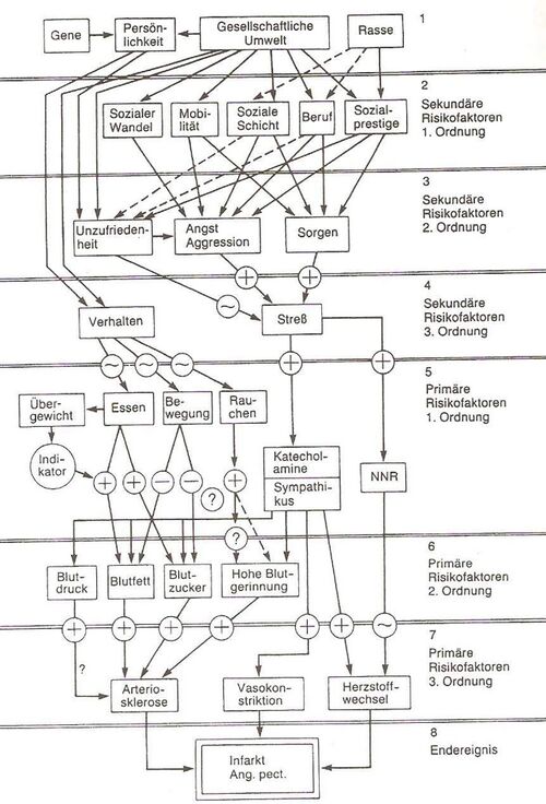 Risikofaktorenmodell nach Schaefer 1979 (Knoll, 1997, S.22).jpg