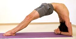 Umgekehrte Stockhaltung Dvipadaviparitadandasana - Yoga Pose 5.jpg