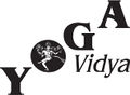 Yv logo.jpg