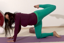 Verdrehte Katze 3.png