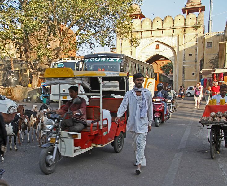 Datei:Jaipur-Stadtleben-Palastplatz-Ziegen-Rikschas.jpg