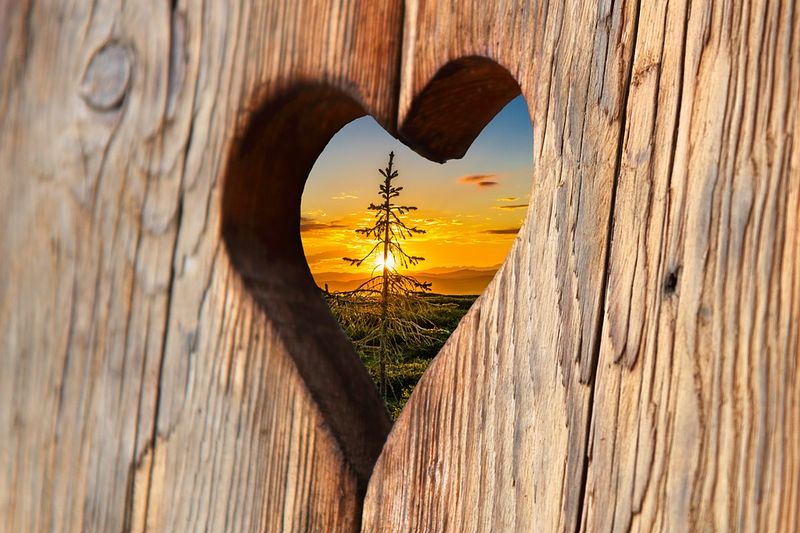 Datei:Herz Liebe zur Natur Sonnenuntergang Baum Holz.jpg