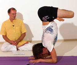 Skorpion im Lotus 2.png