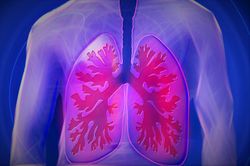 Lungen Anatomie Atmung Atem.jpg