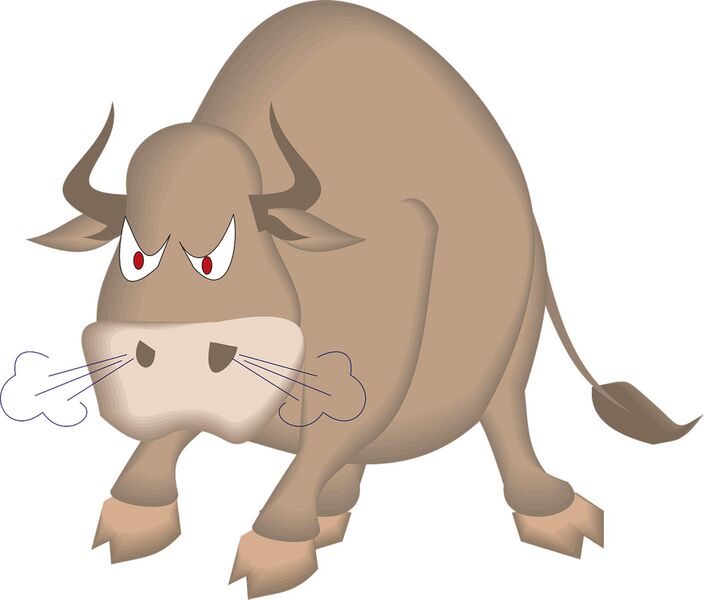 Datei:Bulle Wut wütend schnaufen Stier Tier.jpg