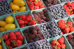 Früchte Verkauf Markt.jpg