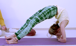 189-Baddha-Hasta-Dvi-Pada-Viparita-Dandasana05-07-15h28m08s574.png