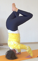 2529-Sustagakapali-Asana-06-06-17h30m38s471.png