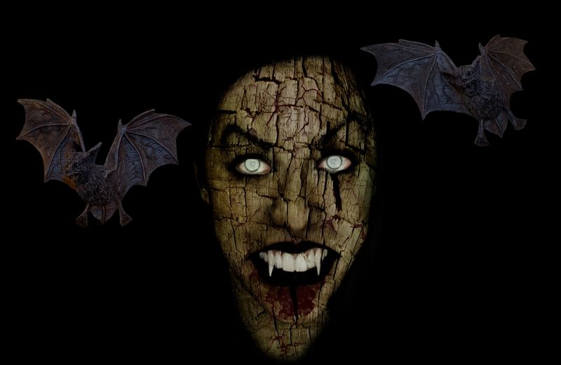 Datei:Vampire Fledermaus Dracula Unsterblich.jpg
