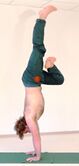 Ardha Padmasana in Adho Mukha Vrikshasana, Handstand im halben Lotus