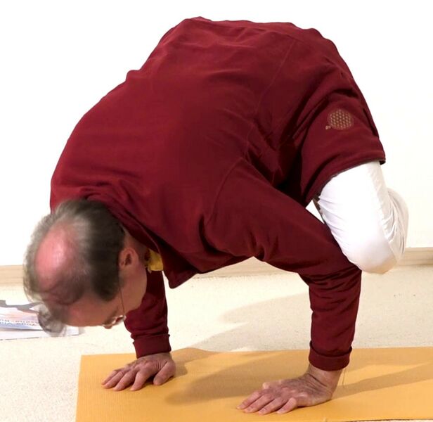Datei:Kraehe Yoga Stellung mit Knien auf den Ellbogen.jpg