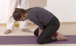 In den Pfau helfen helfen - Yoga Vidya Bodywork Mayurasana 2.jpg