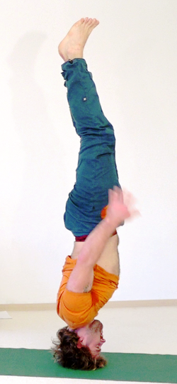 785-Mukta-Hasta-Shirshasana05-28-12h51m56s146.png