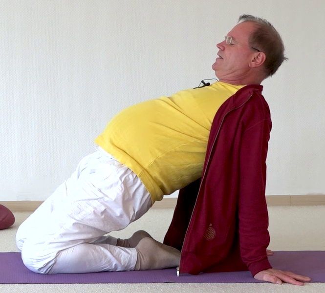 Datei:Kamel mit Beckenheben.png