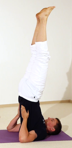 Datei:Yoga Schulterstand.png