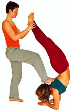 In-den-Skorpion-helfen-Yoga-Vidya-Bodywork-2.jpg