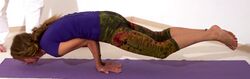Yoga Gleichgewichtsuebungen 3 Pfau.jpg