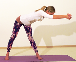 810-Mushti-Baddha-Hasta-Chakrasana05-28-13h10m07s499.png