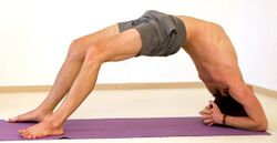 Umgekehrte Stockhaltung Dvipadaviparitadandasana - Yoga Pose 3.jpg