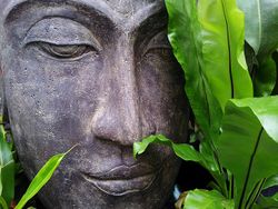 Buddhistische Weisheiten Yogawiki