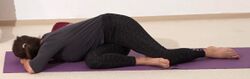 Reh - Yoga Stellung 2.jpg