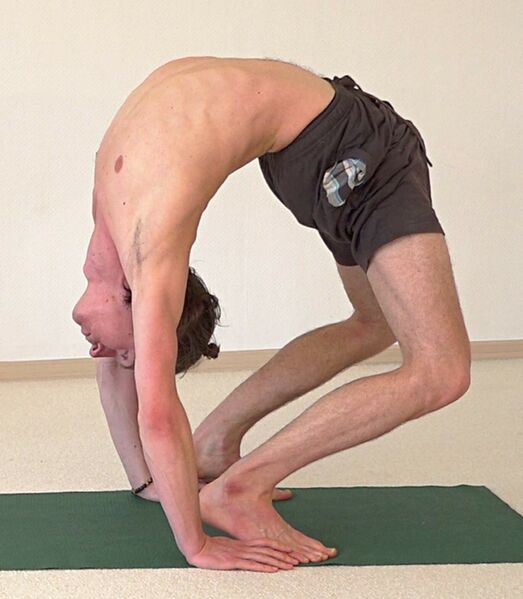 Datei:Peta Puthi Asana AL 2407.jpg