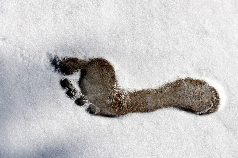 Datei:Schnee Fußabdruck kalt nackt weiss.jpg