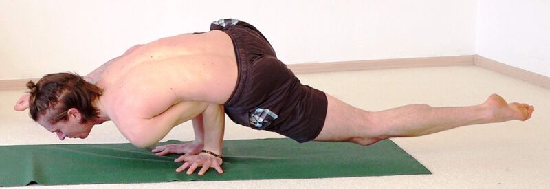 Datei:2410-Pinda-Mayurasana.jpg