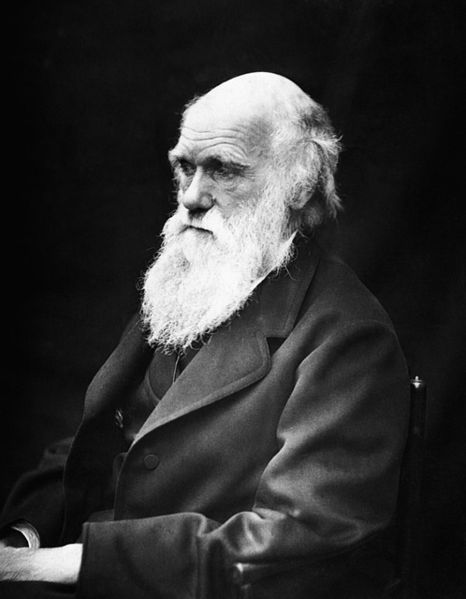 Datei:Charles Robert Darwin.jpg