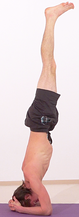 Bhagalasana AL 2079 Variation 2.png