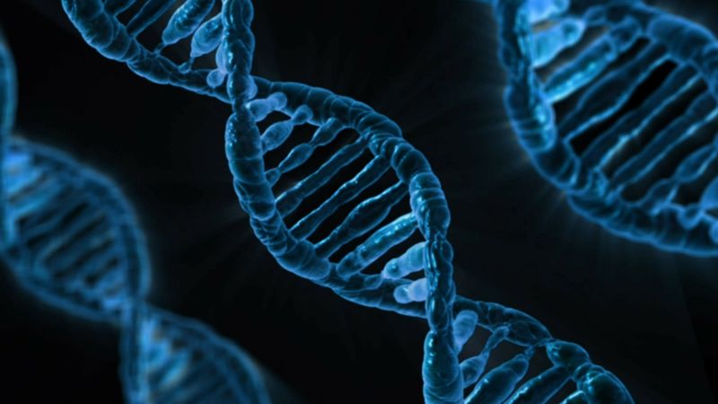 Datei:DNA Genetik Biologie Evolution.jpg