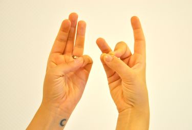 Sukham Mudra Yogawiki